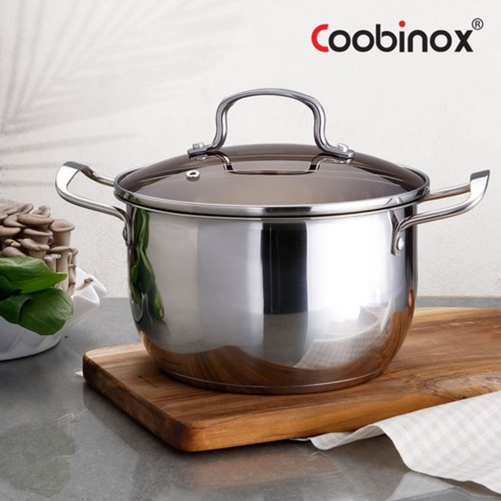 Coobinox® Daily Stainless Steel Double-Handled Pot 20cm(CO-15-02) 3-Ply Capsule Base Induction Compatible with Brown Glass Lid